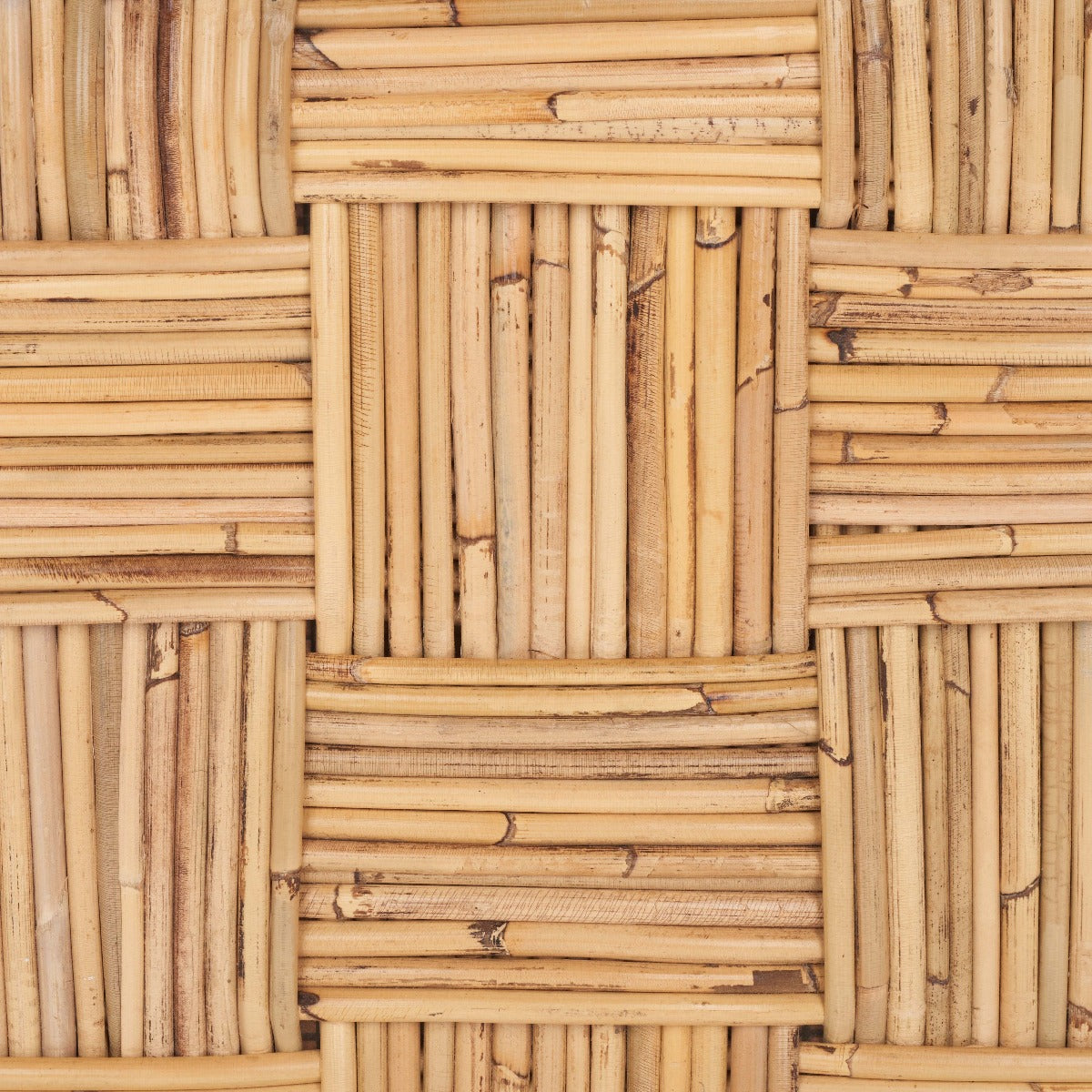 Adkin Rattan Coffee Table | Safavieh - WIK6503