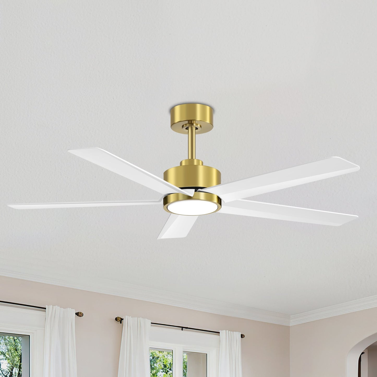 Breezary 65/52/42 5-Blade LED Ceiling Fan with Light Kit and Remote