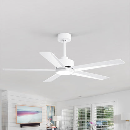 Breezary 65/52/42 5-Blade LED Ceiling Fan with Light Kit and Remote