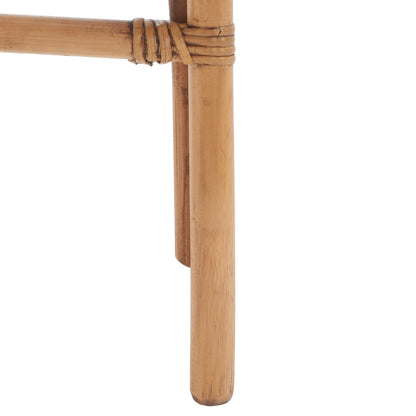 Adriana Rattan Accent Chair (Set of 2) | Safavieh - ACH6505