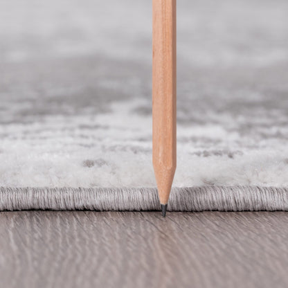 Linx French Country Medallion Indoor Area Rug