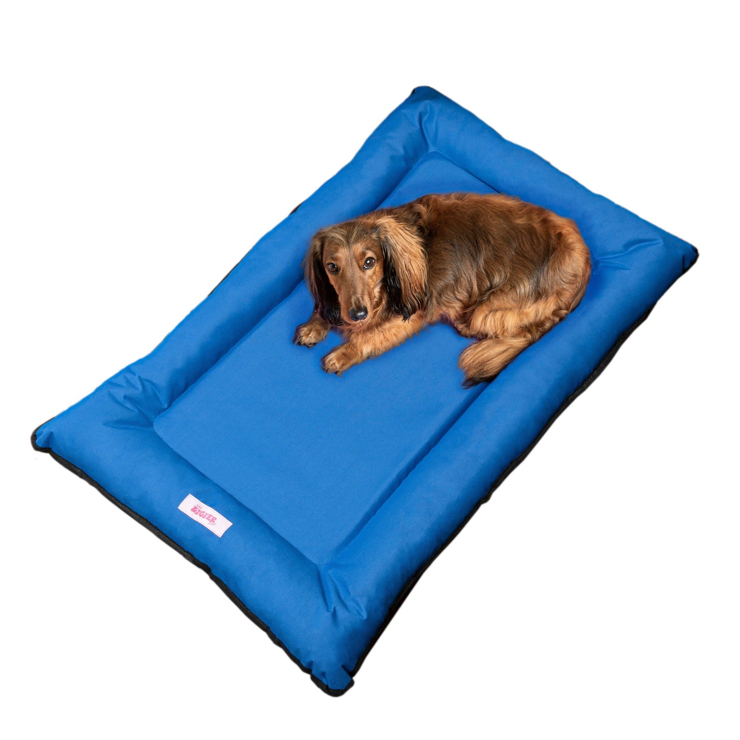 Archie Traditional Oxford Waterproof Indoor/Outdoor Hand-Washable Memory Foam Camping Pet Bed