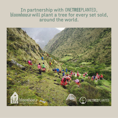 Bloomhouse Palermo Sun 16 Piece Double Bowl Stoneware Reactive Glaze Plates and Bowls Dinnerware Set