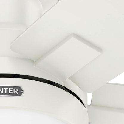 Hunter 52 Anisten Low Profile Ceiling Fan with LED Light and Pull Chain - Modern, Contemporary, Transitional