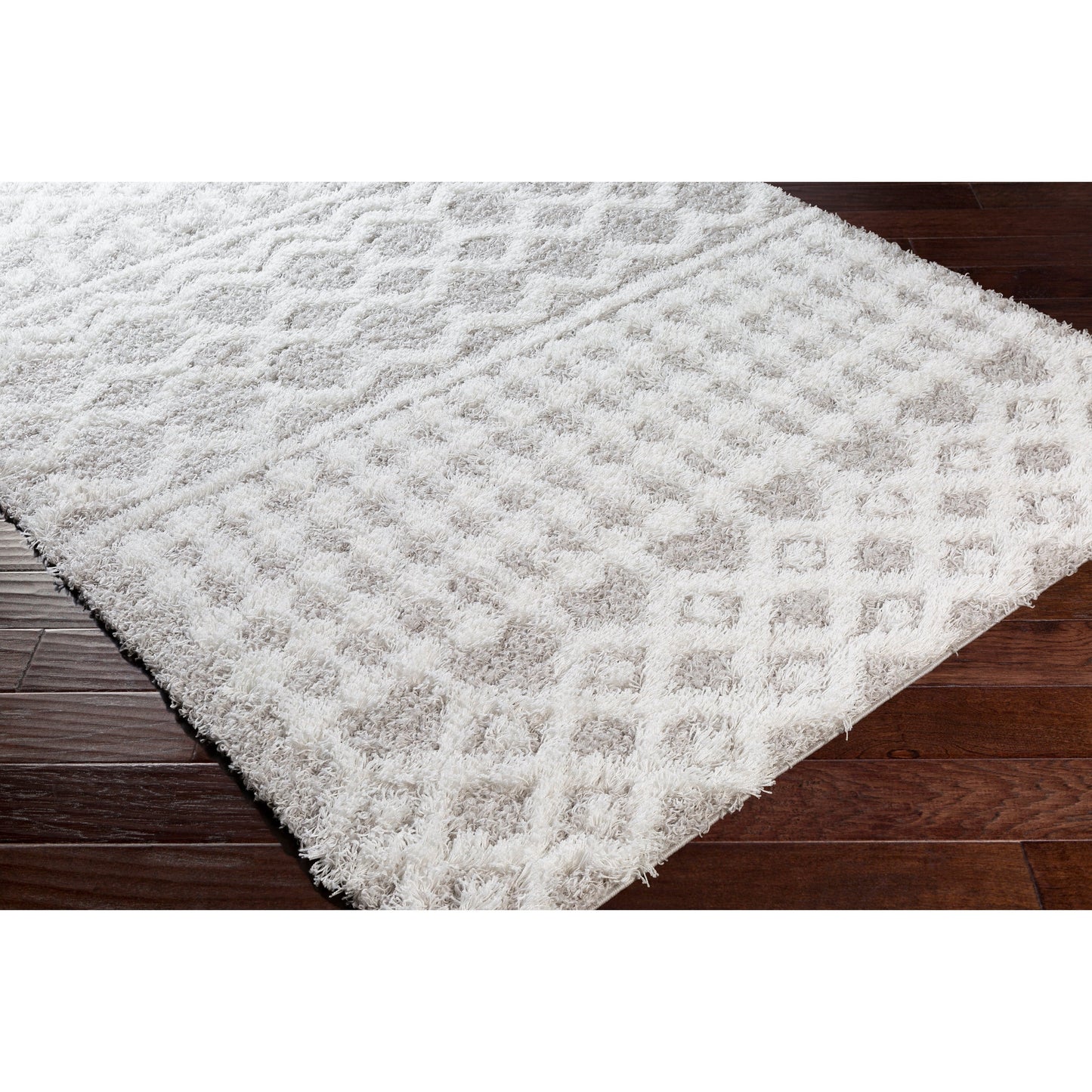Livabliss Newton Geometric Moroccan Trellis Shag Area Rug