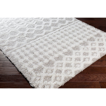 Livabliss Newton Geometric Moroccan Trellis Shag Area Rug