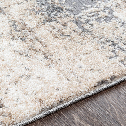 Livabliss Oskar Modern Distressed Area Rug