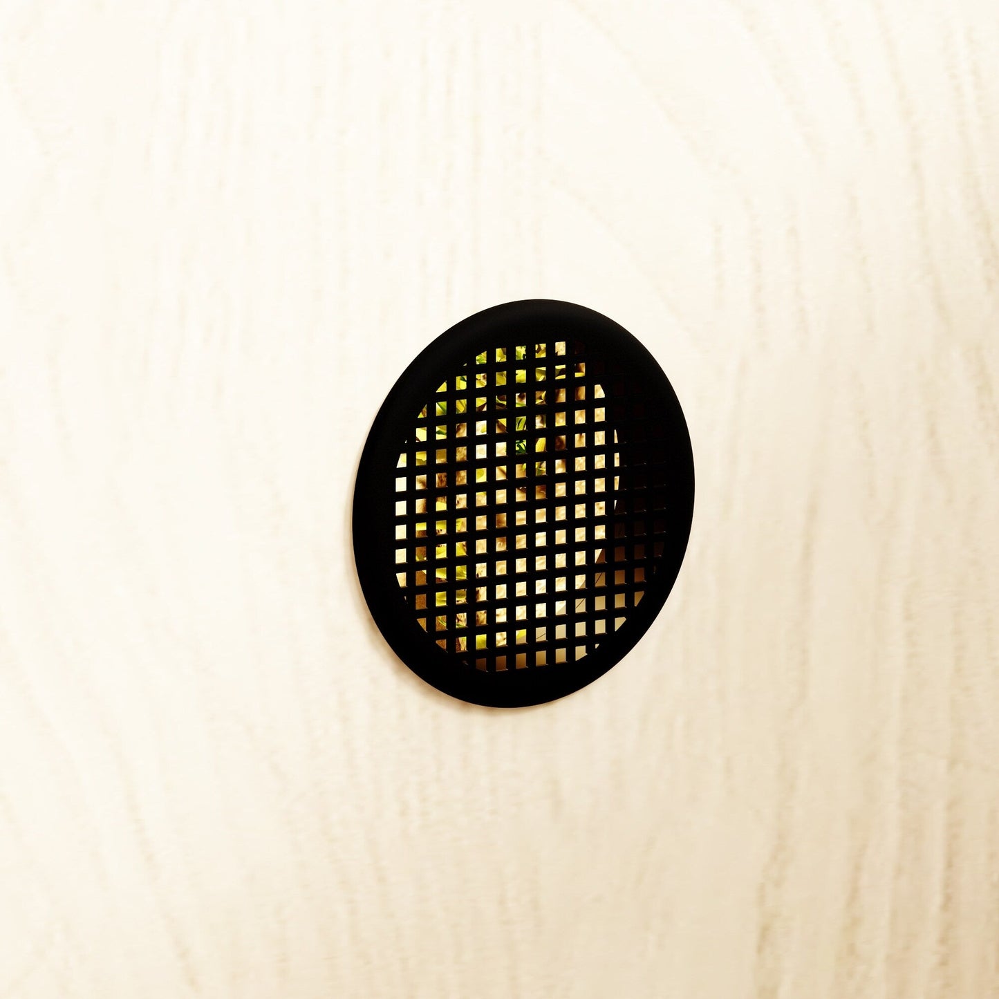 Reptile Habitat -Spacious Terrarium for Lizards, Snakes & More - 47.2