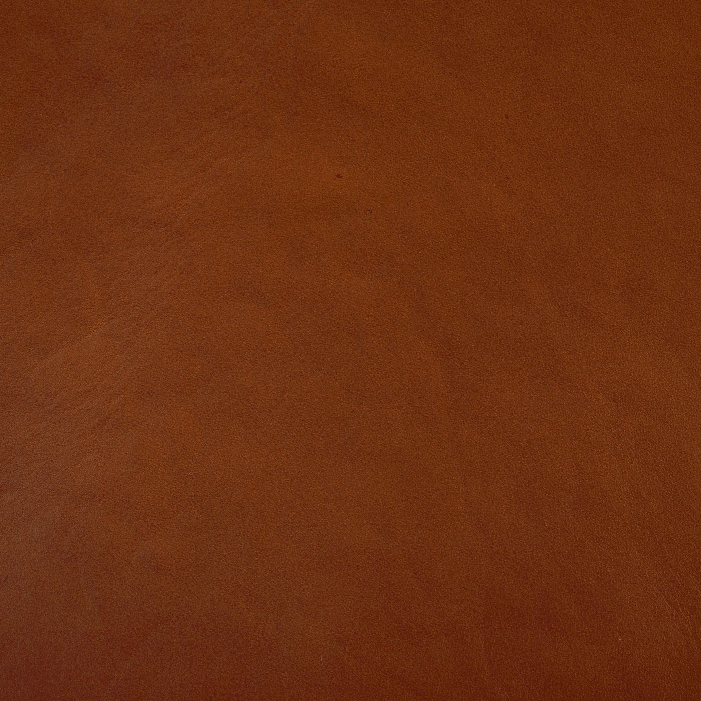 Alanarose Leather Accent Chair | Safavieh Couture – SFV1903