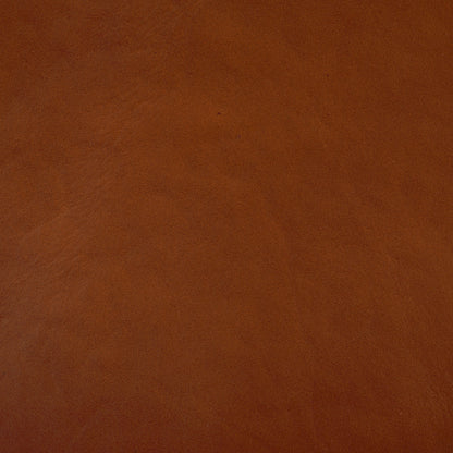 Alanarose Leather Accent Chair | Safavieh Couture – SFV1903