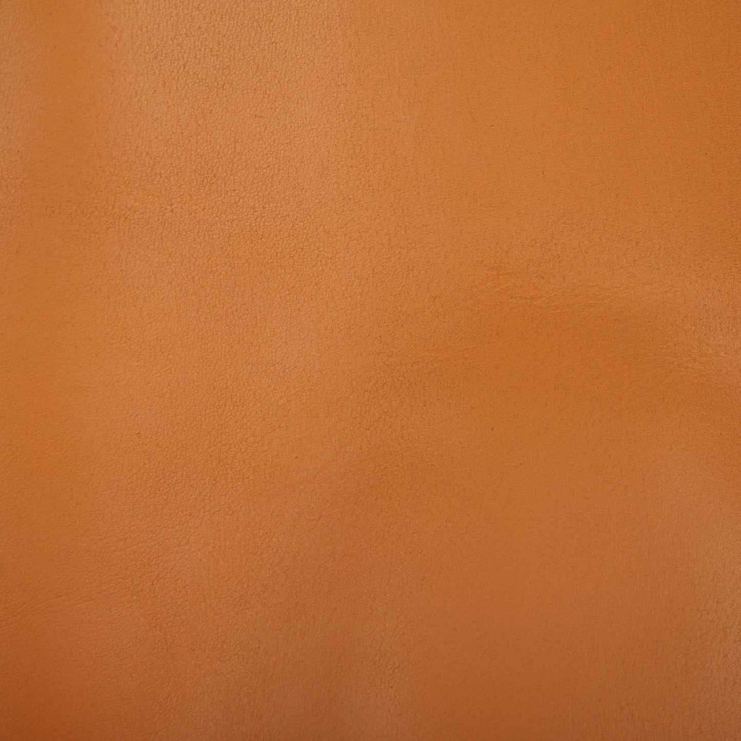 Alanarose Leather Accent Chair | Safavieh Couture – SFV1903