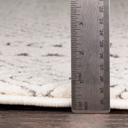 Livabliss Tiffany Grey Bohemian Border Area Rug