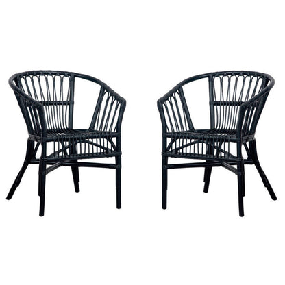 Adriana Rattan Accent Chair (Set of 2) | Safavieh - ACH6505