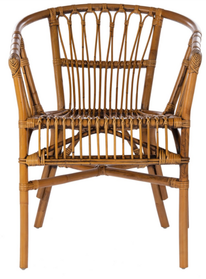 Adriana Rattan Accent Chair (Set of 2) | Safavieh - ACH6505